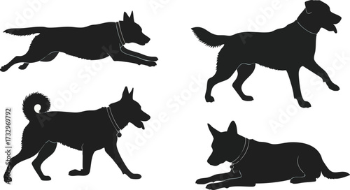 Four dog silhouettes in different poses: running, walking, and lying down.