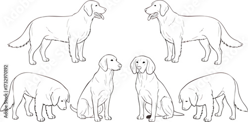Six line drawings of dogs in various poses, including standing, sitting, and sniffing.