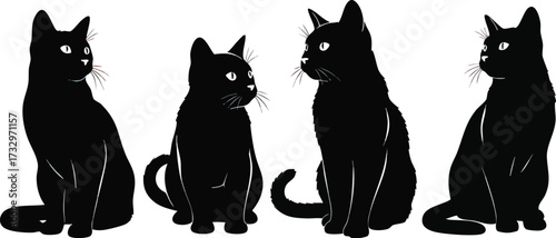 Four black cats sitting upright, facing different directions, against a white background.