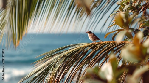 Bird perched on palm leaf