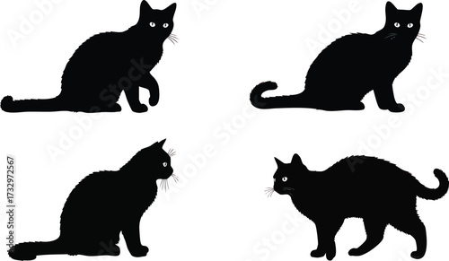 Four black cat silhouettes in different poses, including sitting, standing, and looking.