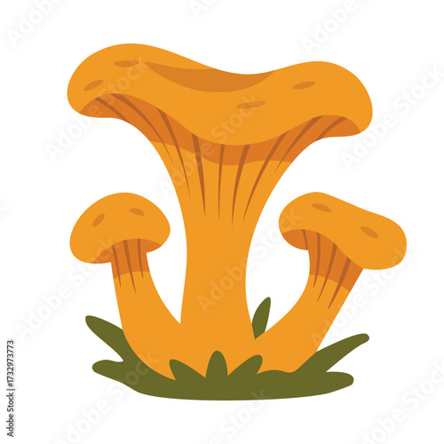 Vector illustration of chanterelle mushrooms, autumn forest elements in flat style, isolated decorative design.