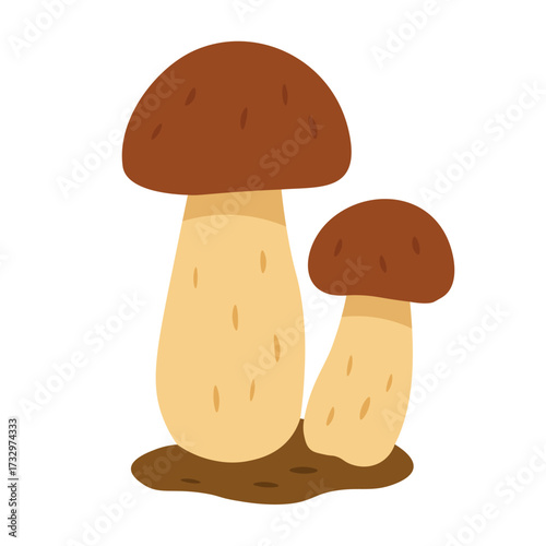 Vector illustration of two autumn boletus mushrooms with brown caps, flat style, isolated decorative element.