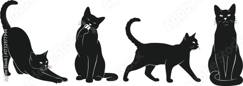 Four black cat silhouettes showcasing different poses, stretching, sitting, and walking.