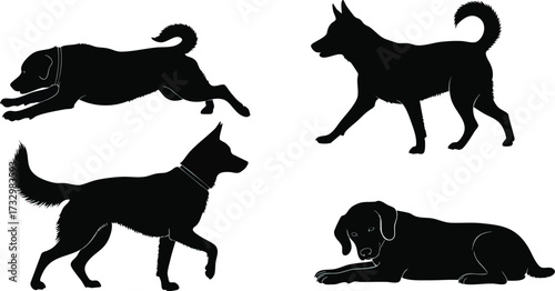 Four dog silhouettes are depicted in various poses: running, walking, standing, and lying down.