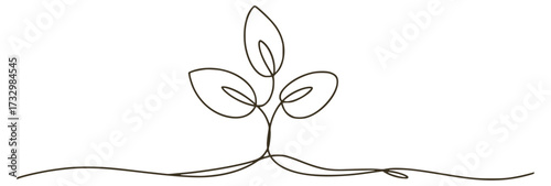 Delicate plant sprout with leaves and flowing stem organic