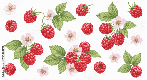 A charming collection of ripe raspberries, green leaves, and delicate pink flowers scattered on a white background