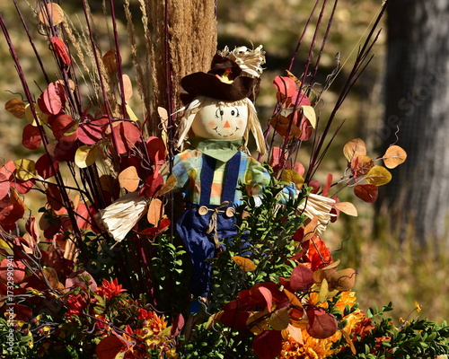 scarecrow with flowers, season, fall, nature, Thanksgiving, scarecrow