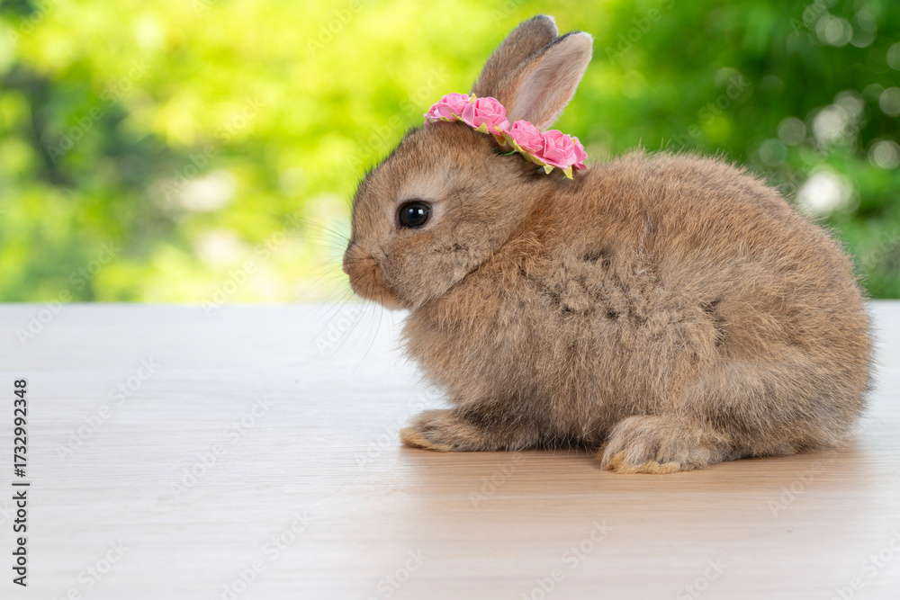 Obraz premium Adorable baby rabbit bunny with white red paper roses on head sitting on wood green bokeh background. Newborn rabbit bunny with blossom flower on hair playful on wooden. Easter animal pet concept.