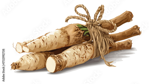 Fresh Cassava Roots Vector Illustration for Culinary Designs