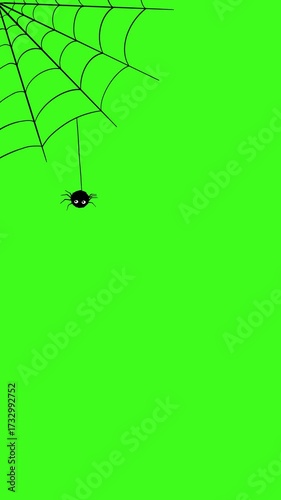 4K Spider animation – Cartoon halloween video background. 60fps. Isolated on green screen. Scary chromakey frame.