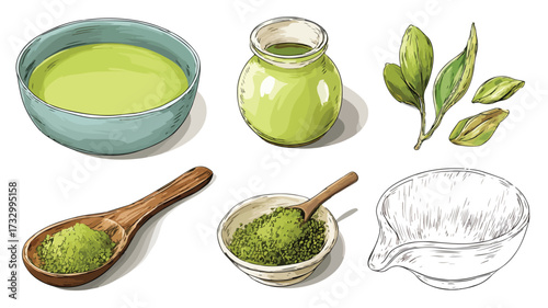 Professional Ingredients for Matcha Tea Preparation Vector Illustration