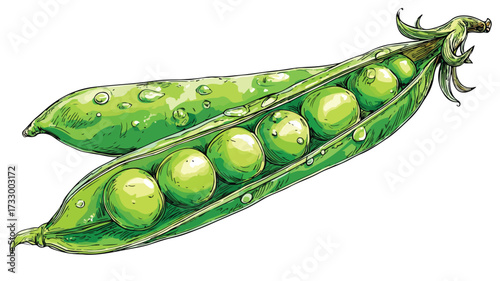 Vibrant Green Pea Clipart Vector Illustration for Creative Designs