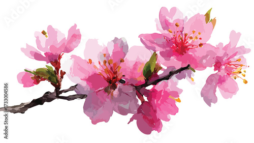 Elegant Watercolor Sakura Cherry Blossom Branch in Pink Vector Illustration
