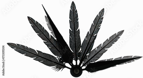 Elegant arrangement of stylized black feathers radiating from a central point creating a striking