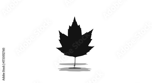 Single stark maple leaf silhouette casting a soft shadow on a clean white backdrop
