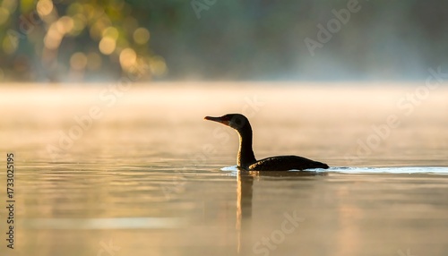 Silhouette of a bird on a misty lake at sunrise