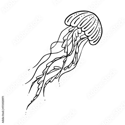 jellyfish line art vector illustration
