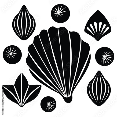 seashell collection cute vector on white backgroun (1).eps