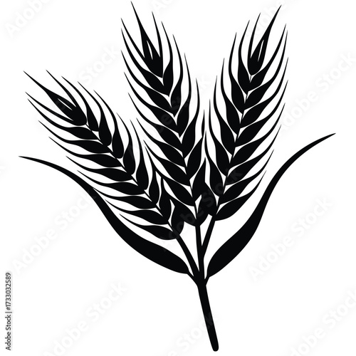wheat stalk silhouette vector illustration on whit.eps