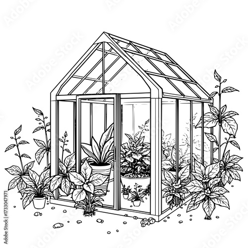 Minimilist illustration of a greenhouse filled with potted plants and foliage in a detailed line drawing style vector