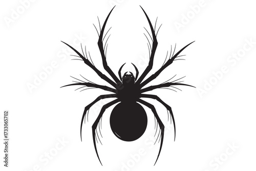 A detailed silhouette of a spider, isolated on white background, showcases its intricate anatomy and evokes a sense of mystery and arachnid fascination vector illustration