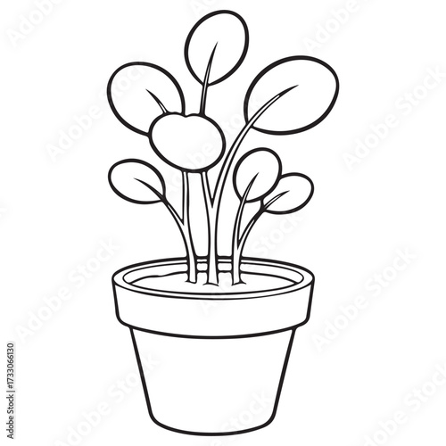 Line art illustration of a popular Chinese Money Plant (Pilea peperomioides) in a simple flower pot, featuring its characteristic round, pancake-shaped leaves. Ideal for houseplant coloring
