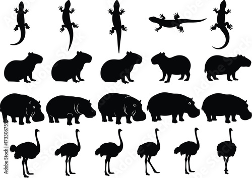 Collection of silhouettes of various animals including lizards capybaras hippos and ostriches on white background