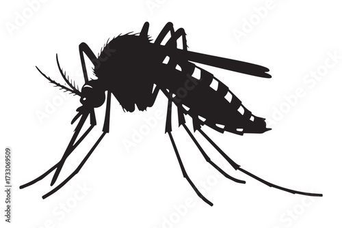 Silhouette of a mosquito isolated on white background, symbolizing disease, pest control, and the intricate biology of this common insect vector illustration