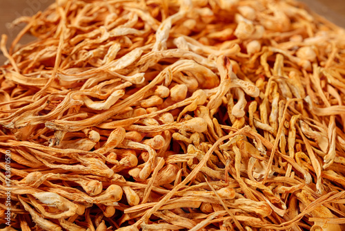 Dried Cordyceps Mushrooms Traditional Chinese Herbal Medicine Health Supplement Natural Formula Ingredients