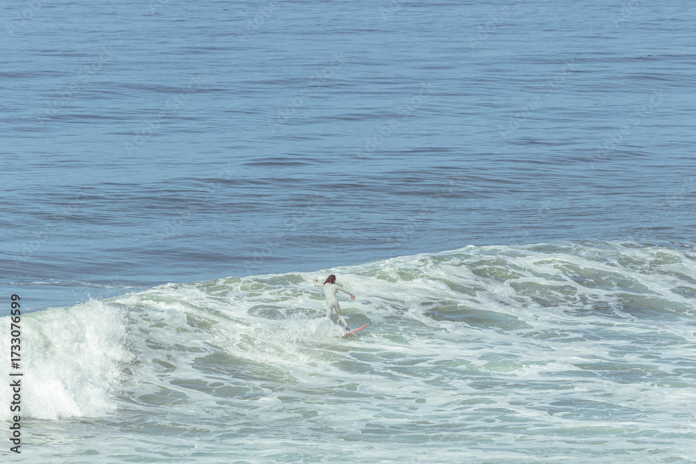 Obraz premium Surfer