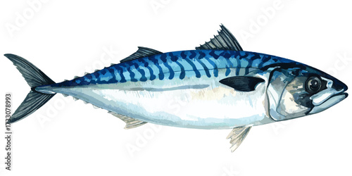 Watercolor Illustration of Fresh Mackerel Fish