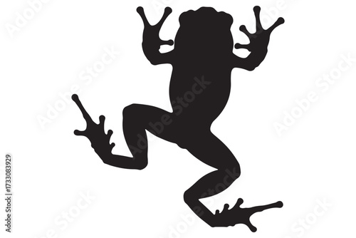 Silhouette of a frog isolated on white background, showcasing its distinctive shape and features, ideal for naturethemed designs and educational resources vector illustration