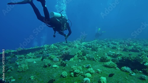 Wallpaper Mural Scuba divers swim above coral-covered board of the wreckship of Salem Express ferry, Slow motion of divers swim in blue depths examines at sunken ship Torontodigital.ca