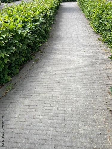 Stone paver path