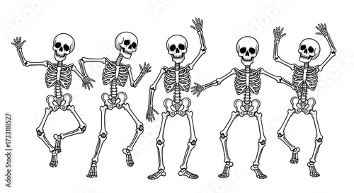 Group of skeletons dancing and celebrating on a white background illustration