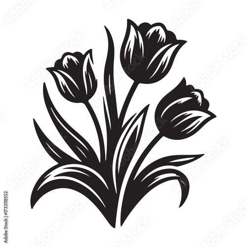 vector " Tulips " illustration vector Design white background
