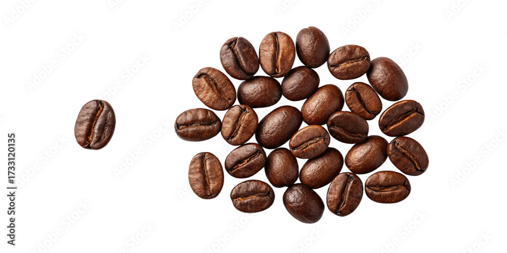 Obraz premium Roasted Coffee Beans with Single Bean Isolated on Transparent Background Glossy Brown Coffee Beans with Lone Bean Separated from Cluster