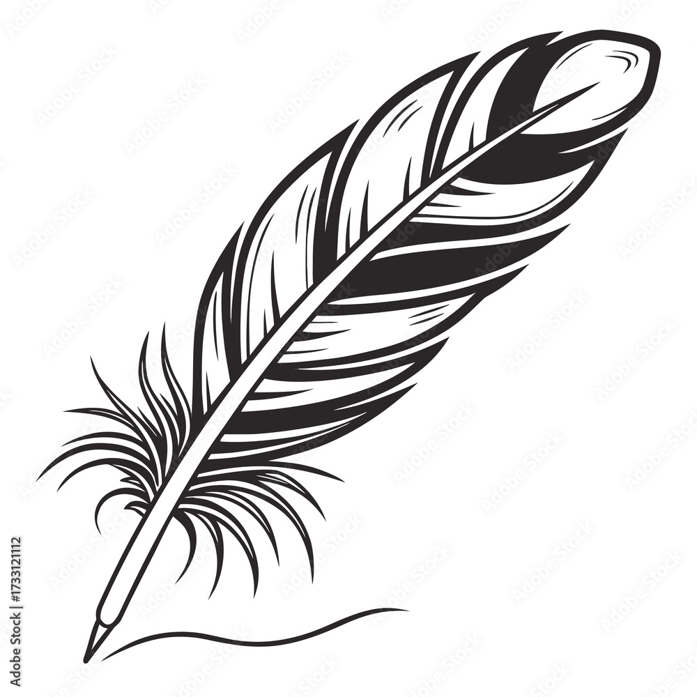 Obraz premium set of feathers
