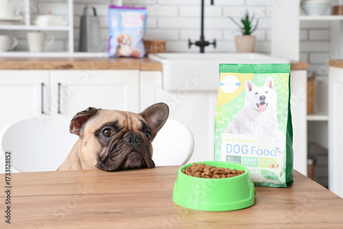 French bulldog and feeding ...