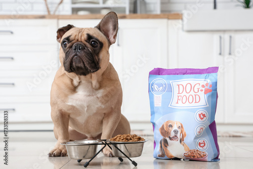 Cute French bulldog with fe...