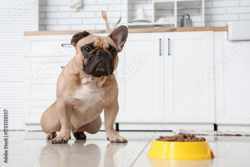 Cute French bulldog near fe...