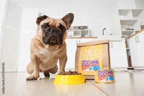 French bulldog with feeding...
