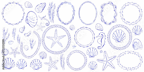 Collection of hand drawn blue nautical elements including seashells starfish seahorse seaweed and rope frames
