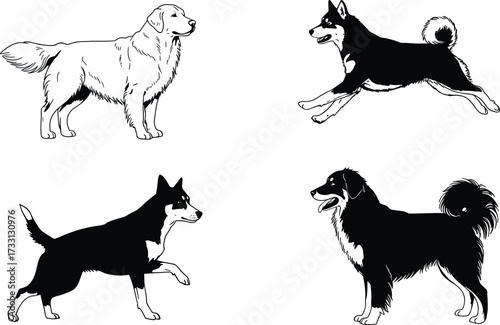 Dog illustration set, retriever and husky vector, pet animal artwork, black outline design, canine drawing collection, domestic dog graphic packDog illustration set, retriever and husky vector, pet 