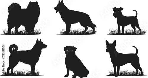 Dog silhouette collection, pet animal vector illustration, six different breeds, standing and sitting poses, domestic dog design, black graphic artwork
