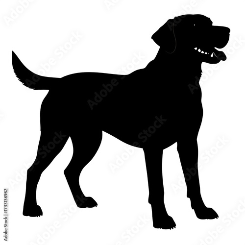 Black silhouette of a dog standing, facing right
