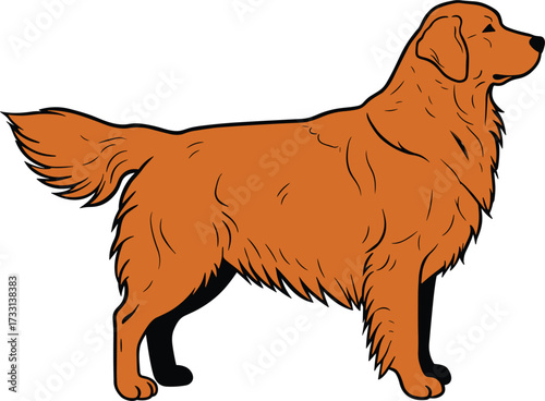 Standing dog illustration, retriever outline vector, domestic pet artwork, cartoon animal drawing, canine graphic design, brown dog shape, realistic retriever pose