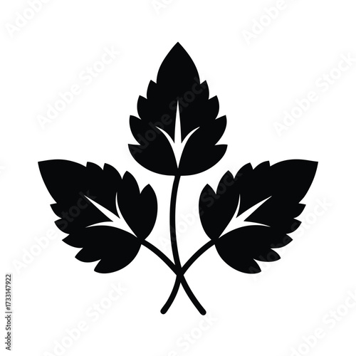 Ground Marjoram Leaves Icon Vector Illustration