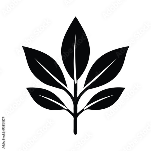 Sage Herb Design Icon Vector Illustration